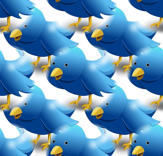Twitter Social Media Marketing Platform - Sabjol