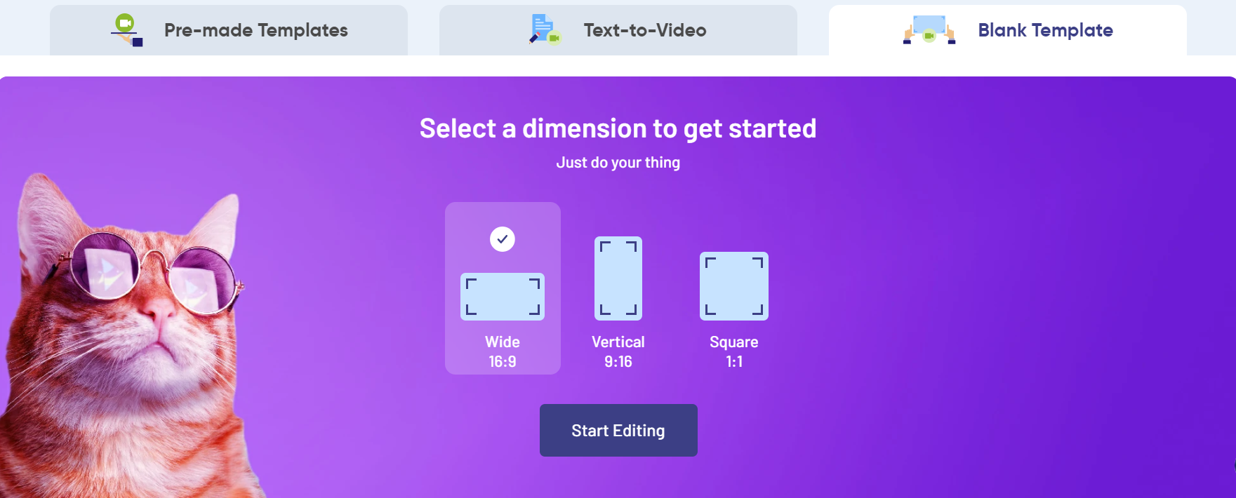 How To Edit Videos with InVideo Blank Template