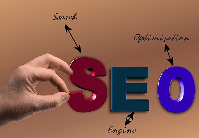 What is SEO and How can I rank my website high on Search Engines?