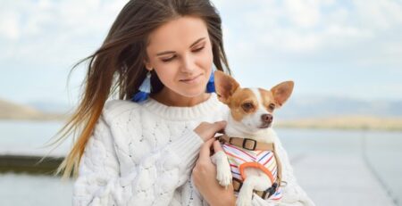 Turn Your Heart For Pets To A Small Business